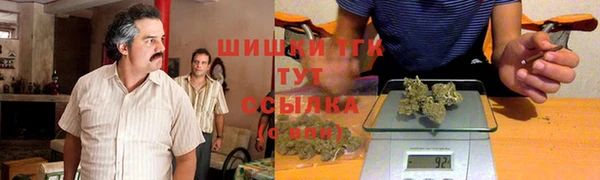 spice Богородицк